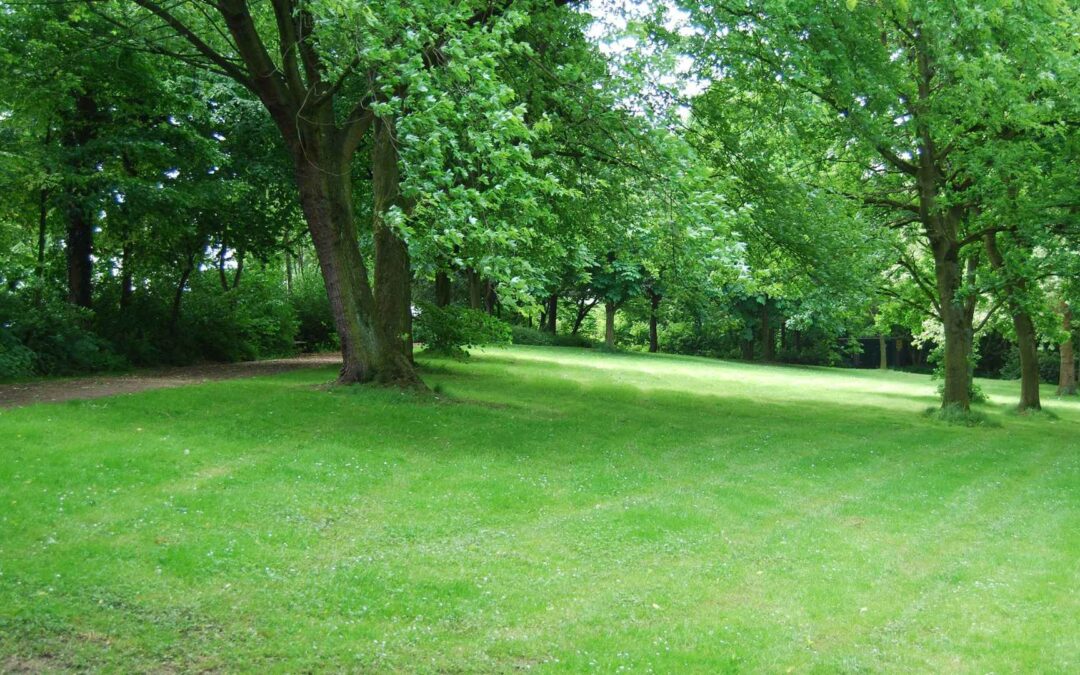 Les plus beaux parcs et jardins de Saverne