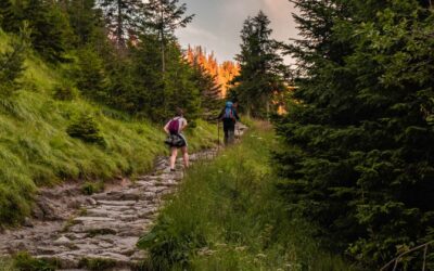 Les plus belles randonnées à faire autour de Saverne