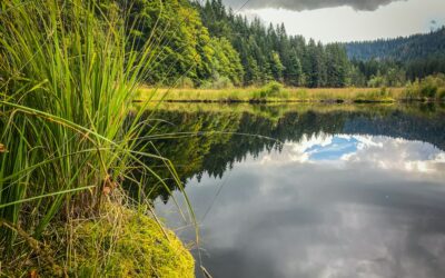 Saverne : une destination pour les amoureux de nature