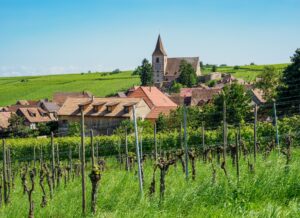 Route des vins en Alsace