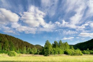 Trees under a beautiful sky in the Spiesswoogtal valley near Fischbach bei Dahn