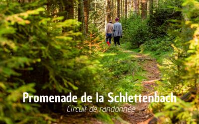 Promenade de la Schlettenbach : un sentier pittoresque à Saverne