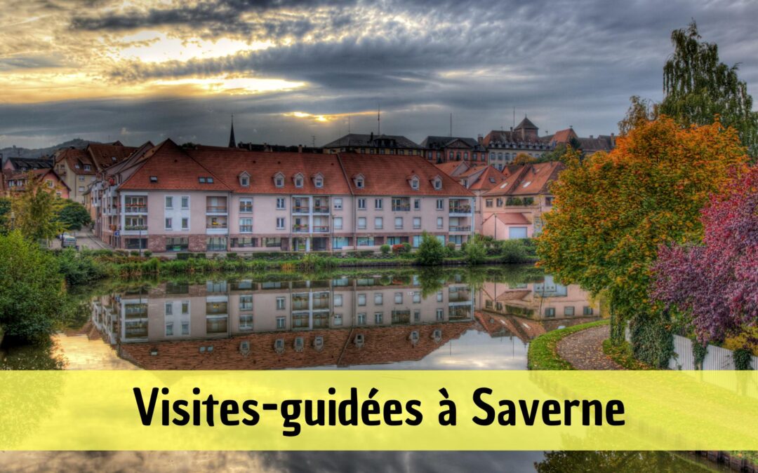 Mon avis sur les visites guidées à Saverne : que valent-elles vraiment ?