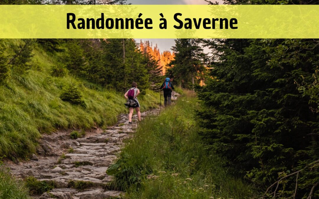 Les plus belles randonnées à faire autour de Saverne
