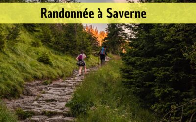 Les plus belles randonnées à faire autour de Saverne