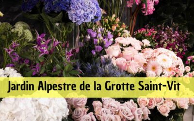 Jardin Alpestre de la Grotte Saint-Vit : une évasion botanique à Saverne